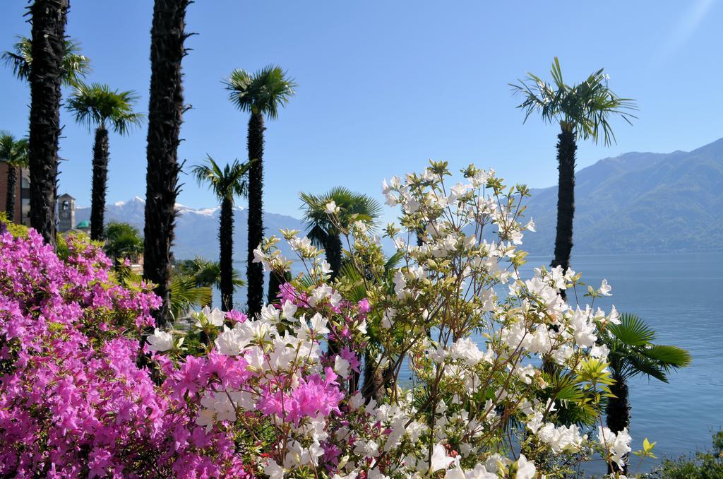 Hotel Garni Rivabella Au Lac Brissago TI Exterior foto