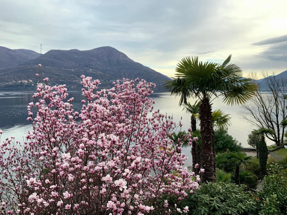 Hotel Garni Rivabella Au Lac Brissago TI Exterior foto