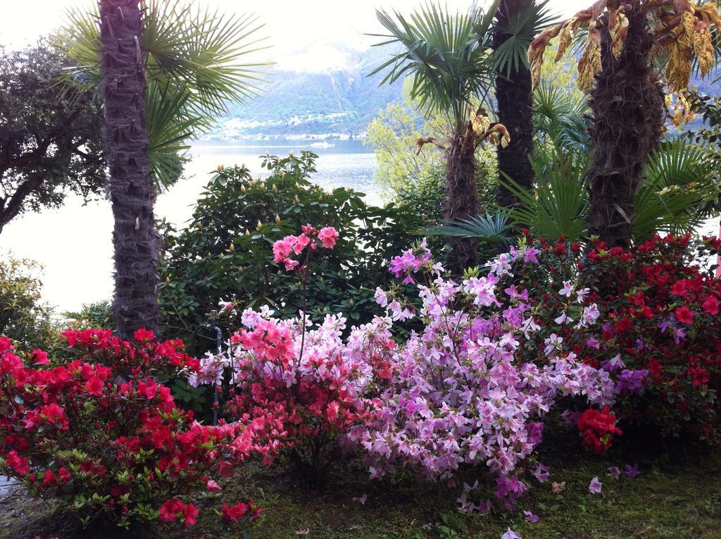 Hotel Garni Rivabella Au Lac Brissago TI Exterior foto