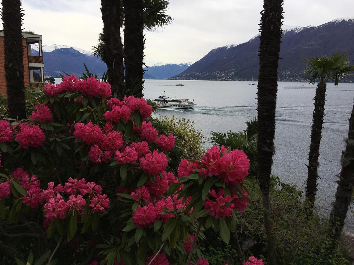 Hotel Garni Rivabella Au Lac Brissago TI Exterior foto
